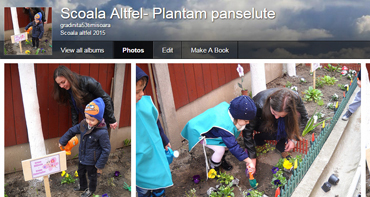 Scoala altfel_Plantam panselute